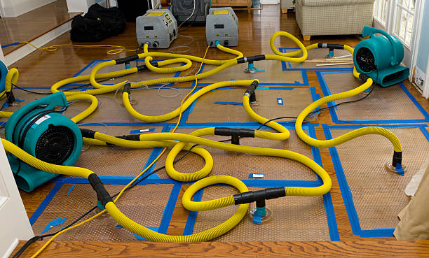 Professional Sewage Cleanup technician working in Lititz, PA